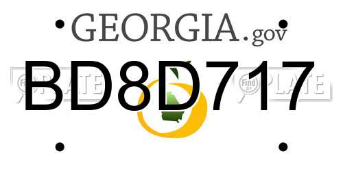 BD8D717 Georgia License Plate