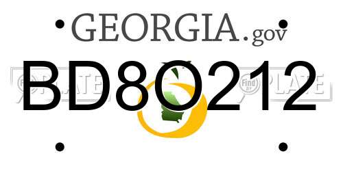 BD8O212 Georgia License Plate