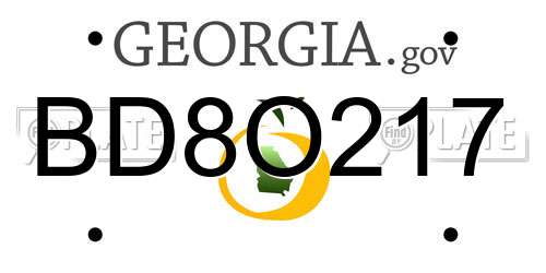 BD8O217 Georgia License Plate