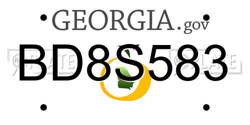 BD8S583 Georgia License Plate