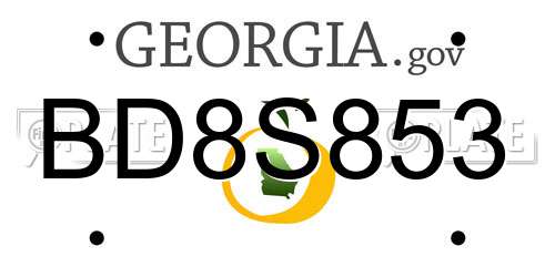 BD8S853 Georgia License Plate