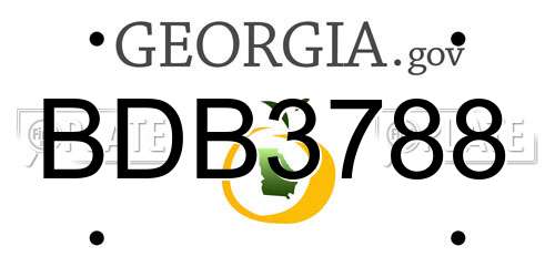 BDB3788 Georgia License Plate