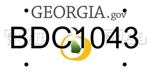 BDC1043 Georgia License Plate