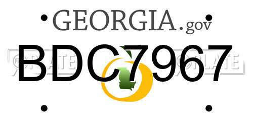 BDC7967 Georgia License Plate