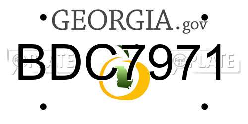 BDC7971 Georgia License Plate