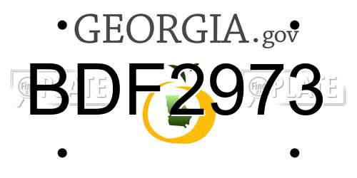 BDF2973 Georgia License Plate