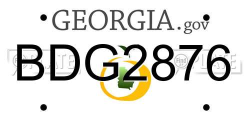 BDG2876 Georgia License Plate
