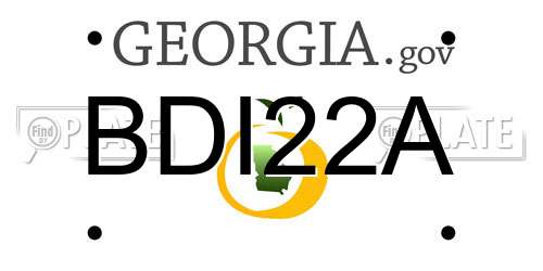 BDI22A Georgia License Plate