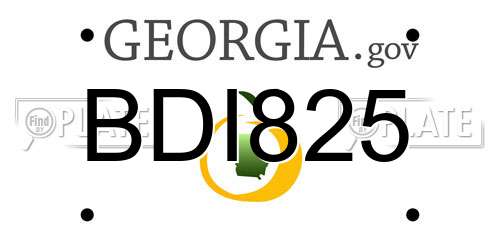 BDI825 Georgia License Plate