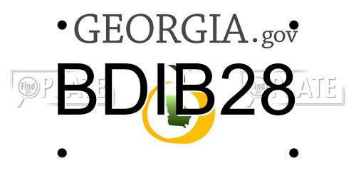 BDIB28 Georgia License Plate