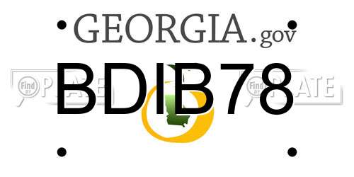 BDIB78 Georgia License Plate