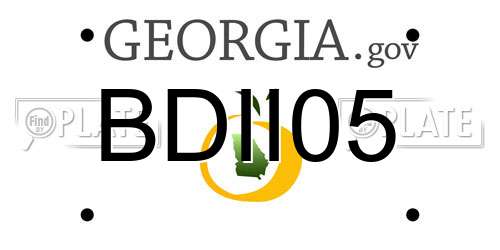 BDII05 Georgia License Plate