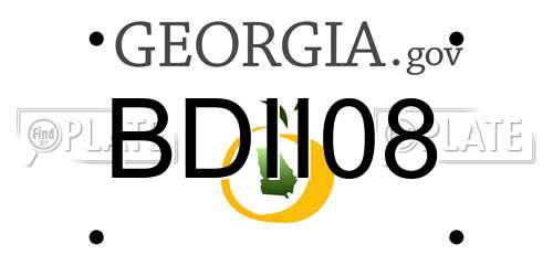 BDII08 Georgia License Plate