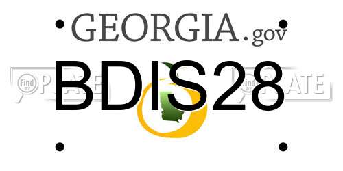 BDIS28 Georgia License Plate