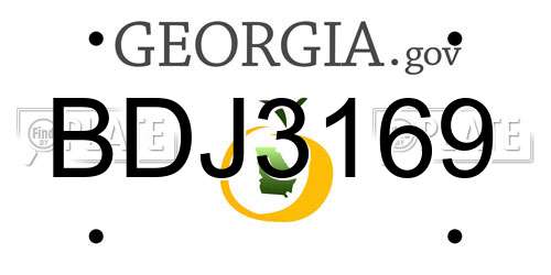 BDJ3169 Georgia License Plate