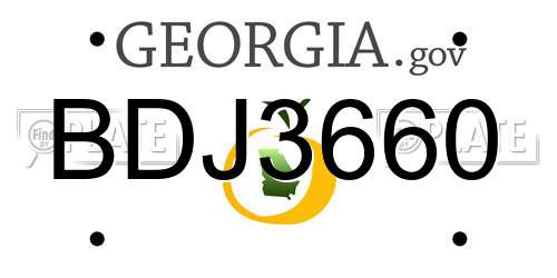 BDJ3660 Georgia License Plate