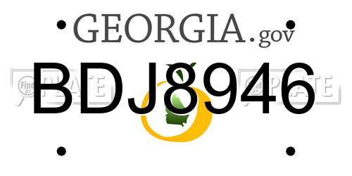 BDJ8946 Georgia License Plate