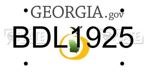 BDL1925 Georgia License Plate