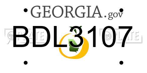 BDL3107 Georgia License Plate