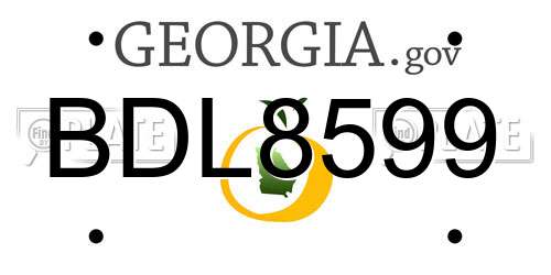 BDL8599 Georgia License Plate