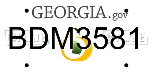 BDM3581 Georgia License Plate