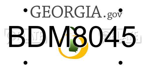 BDM8045 Georgia License Plate