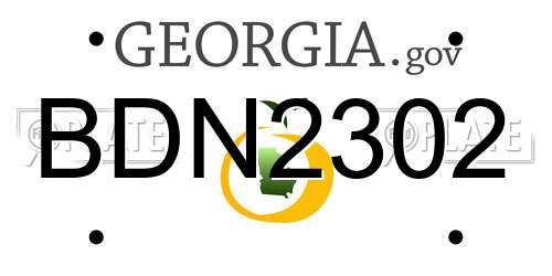 BDN2302 Georgia License Plate