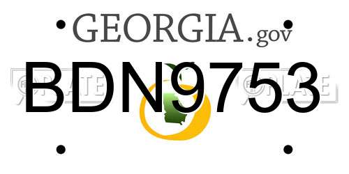 BDN9753 Georgia License Plate