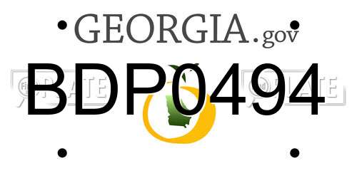 BDP0494 Georgia License Plate