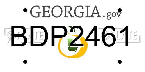 BDP2461 Georgia License Plate