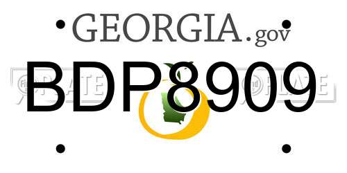 BDP8909 Georgia License Plate