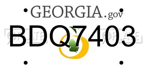 BDQ7403 Georgia License Plate