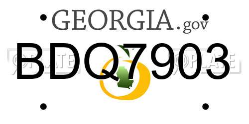 BDQ7903 Georgia License Plate