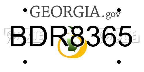 BDR8365 Georgia License Plate
