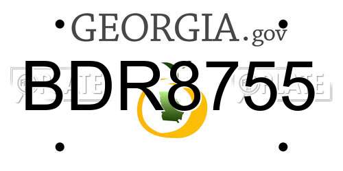 BDR8755 Georgia License Plate