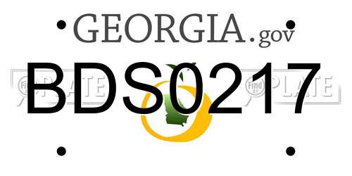 BDS0217 Georgia License Plate