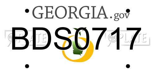 BDS0717 Georgia License Plate