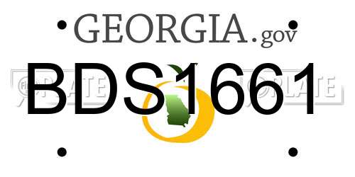BDS1661 Georgia License Plate