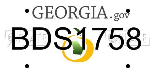 BDS1758 Georgia License Plate