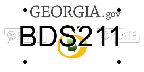 BDS211 Georgia License Plate