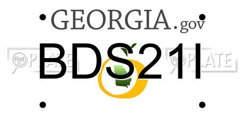 BDS21I Georgia License Plate