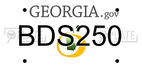 BDS250 Georgia License Plate