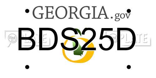 BDS25D Georgia License Plate