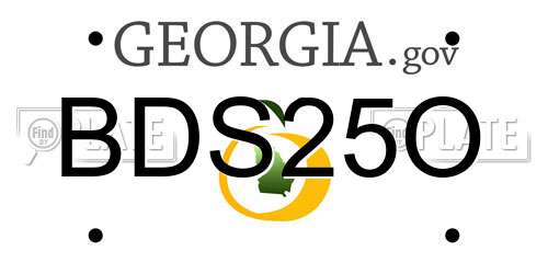 BDS25O Georgia License Plate
