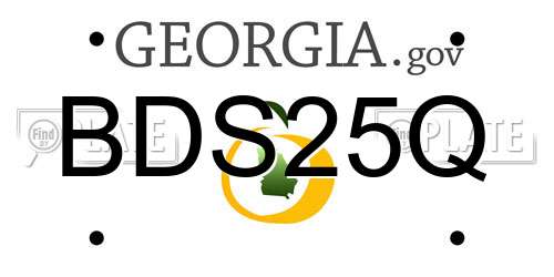 BDS25Q Georgia License Plate