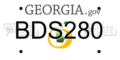 BDS280 Georgia License Plate