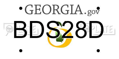 BDS28D Georgia License Plate