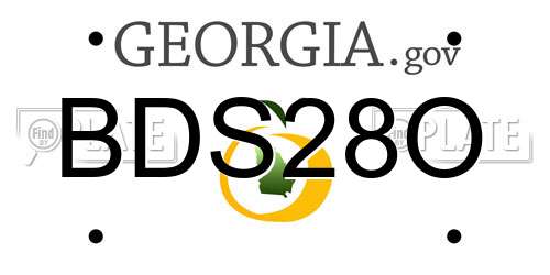 BDS28O Georgia License Plate