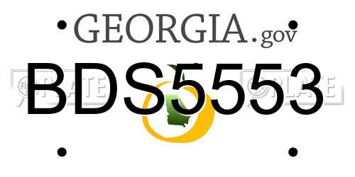 BDS5553 Georgia License Plate