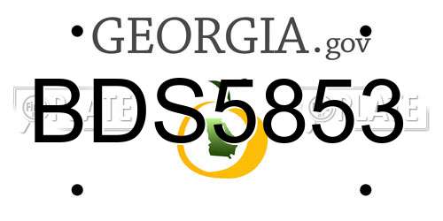 BDS5853 Georgia License Plate